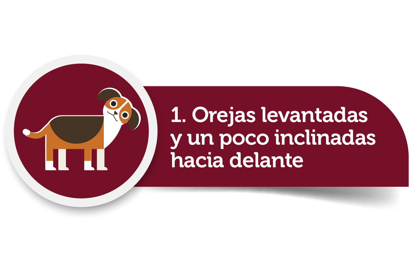 Imagen1.png